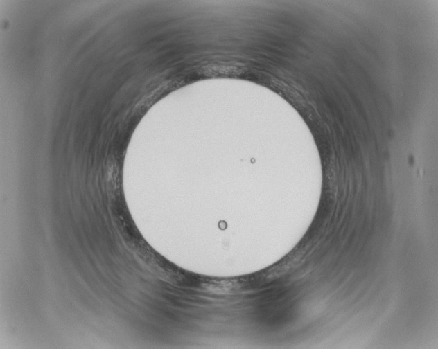 X0000061720079200512302131