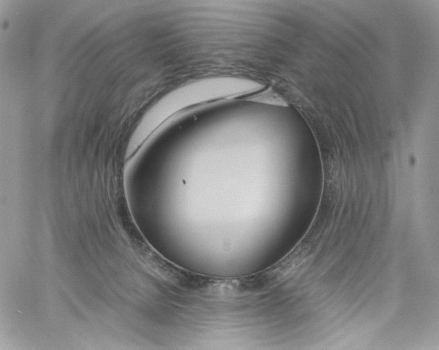 X0000061720080200512302131