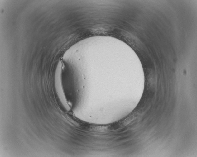 X0000061720081200512302131