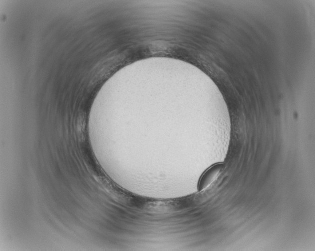 X0000061720082200512302131