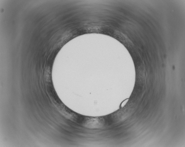 X0000061720083200512302131