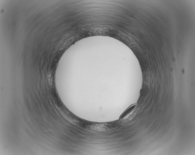 X0000061720086200512302131