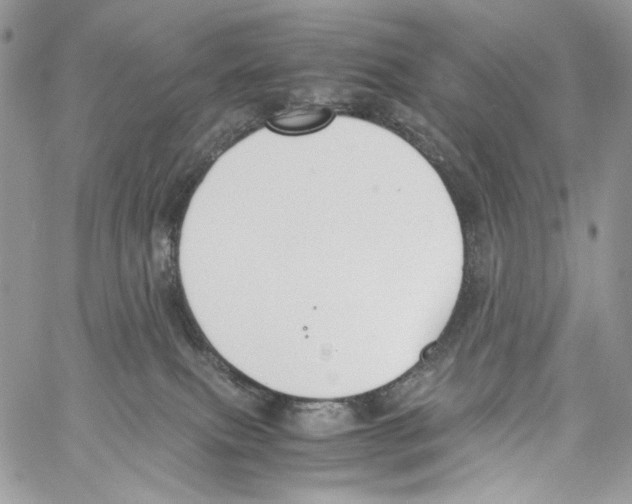 X0000061720087200512302131