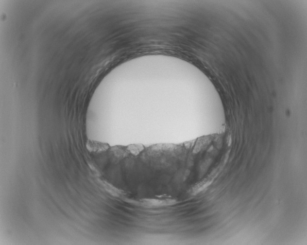 X0000061720089200512302131