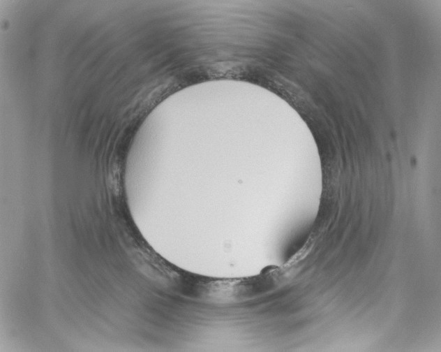 X0000061720090200512302131