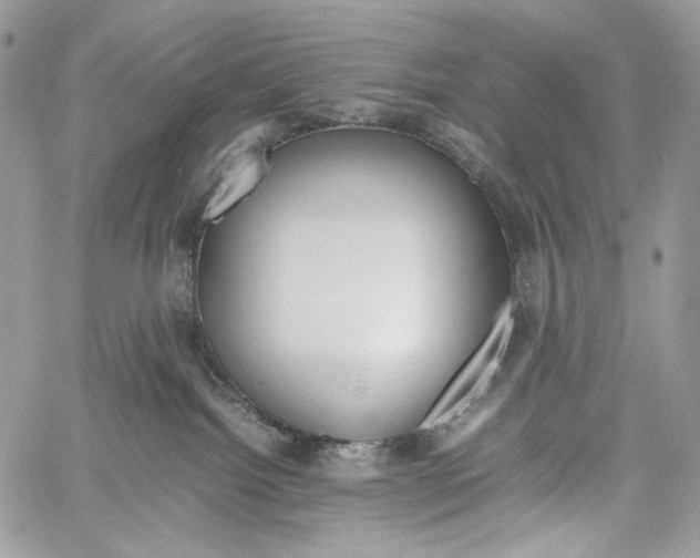 X0000061720092200512302131