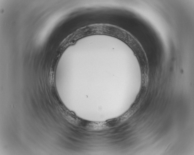 X0000061720093200512302131