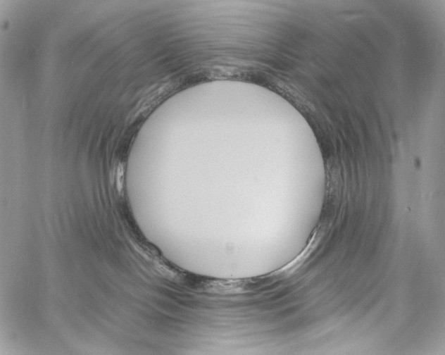 X0000061720094200512302131