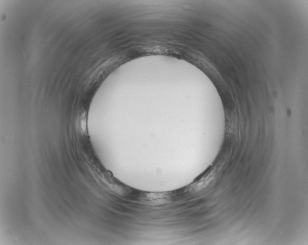 X0000061720095200512302131