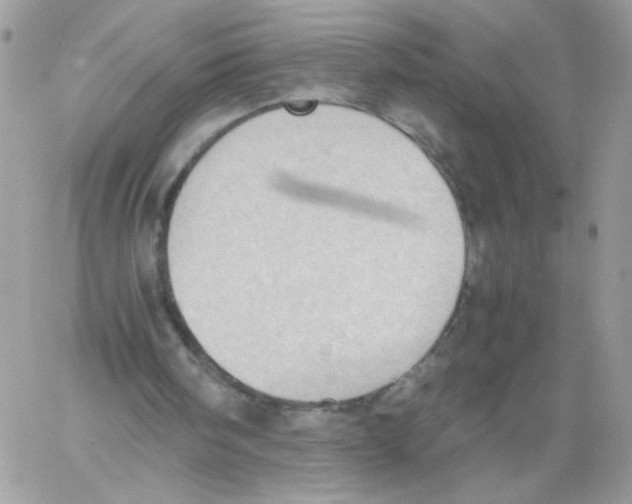 X0000061720098200512302130