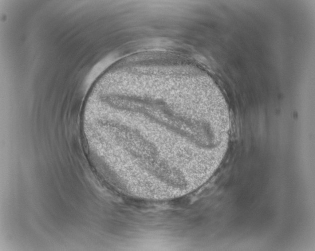 X0000061720099200512302130