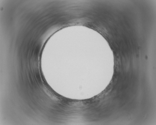 X0000061720100200512302130