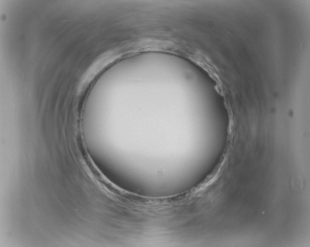 X0000061720101200512302130