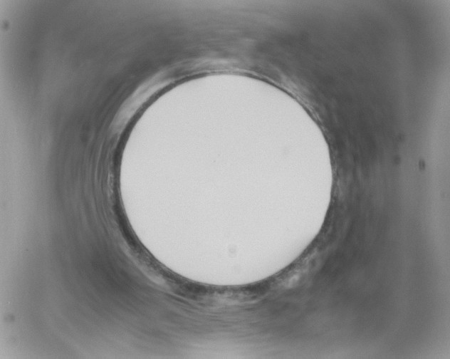 X0000061720103200512302130