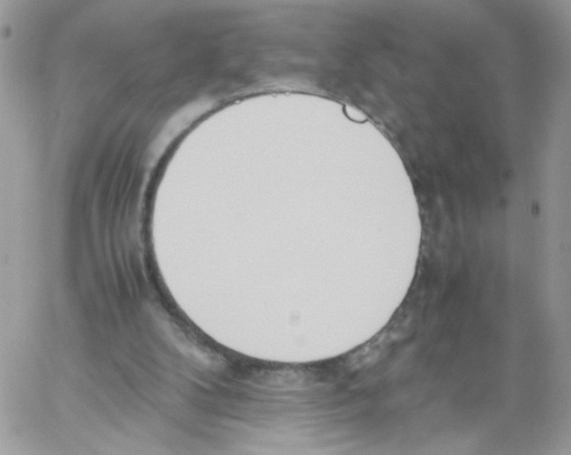 X0000061720104200512302130