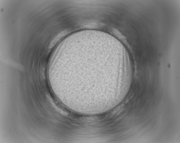 X0000061720106200512302130