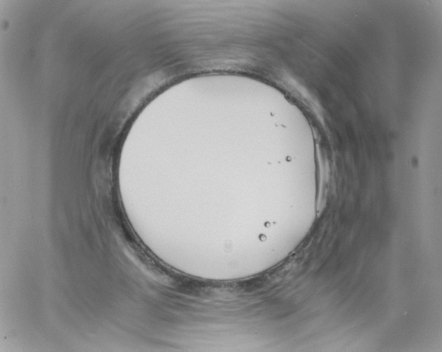 X0000061720107200512302130