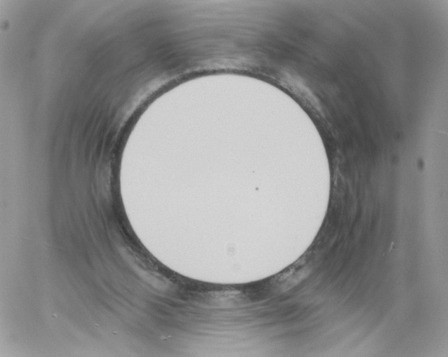 X0000061720108200512302130