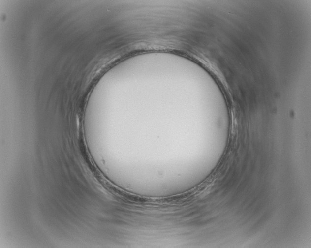 X0000061720109200512302130