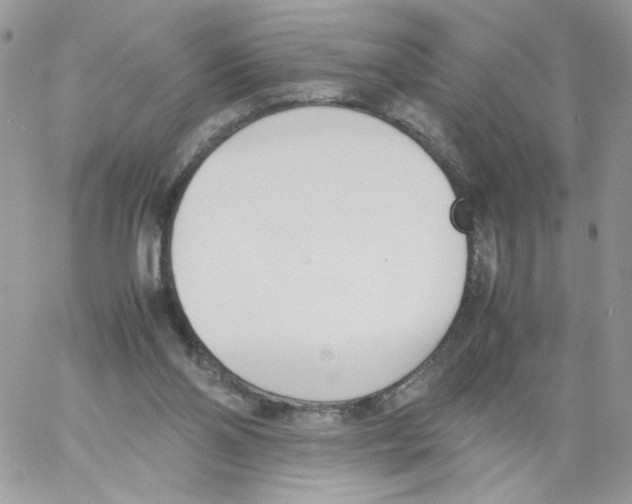 X0000061720110200512302130