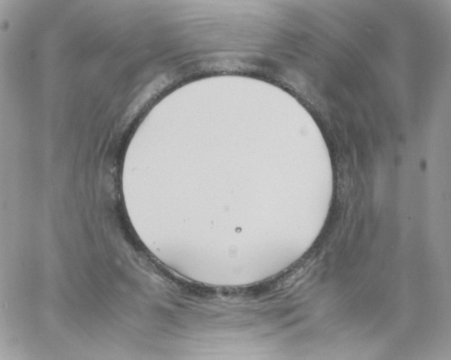 X0000061720111200512302130