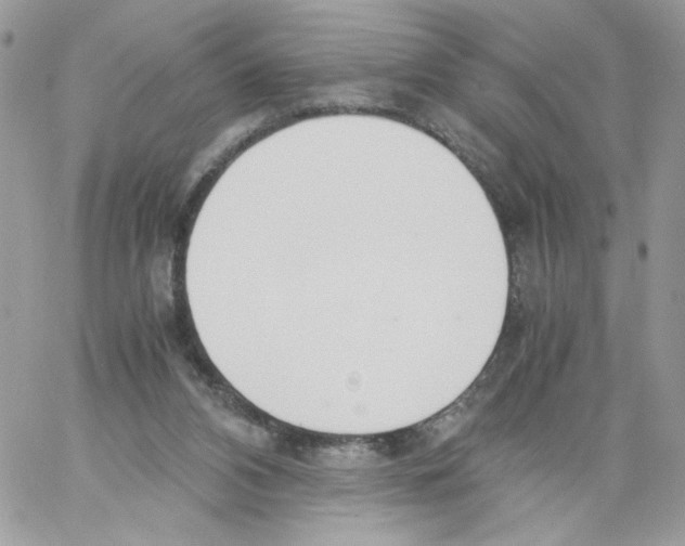 X0000061720112200512302130