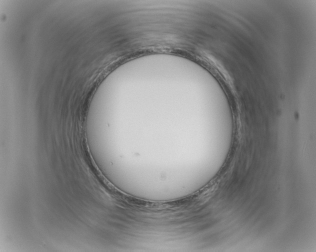 X0000061720113200512302130