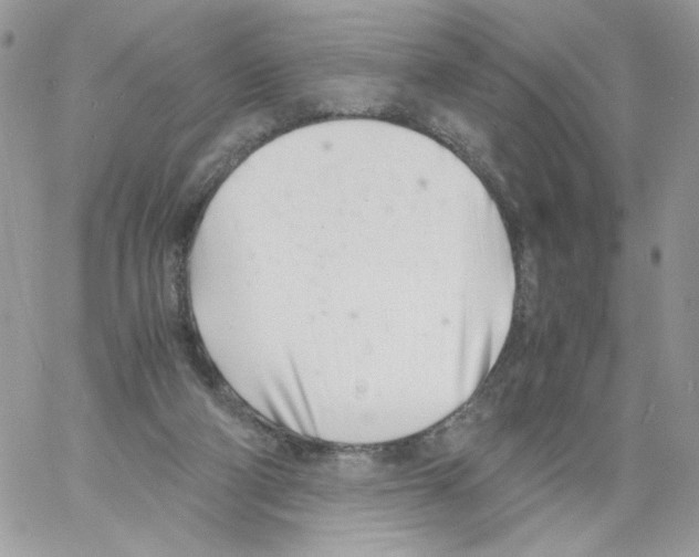 X0000061720114200512302130