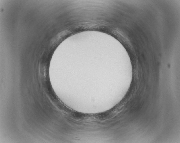 X0000061720115200512302130