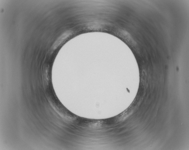 X0000061720116200512302130