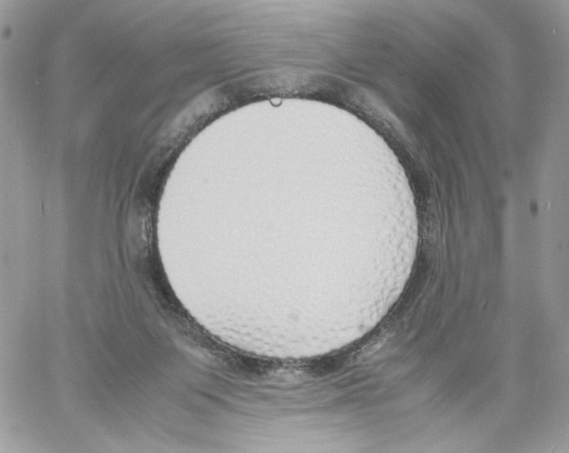 X0000061720119200512302130