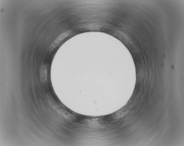 X0000061720120200512302130