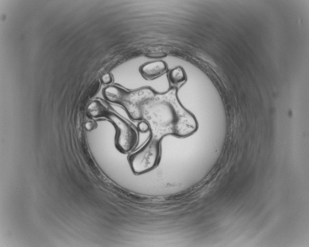 X0000061720121200512302130