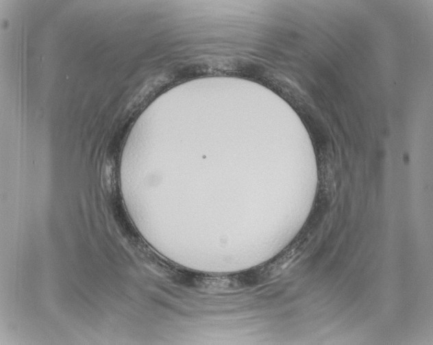 X0000061720123200512302130