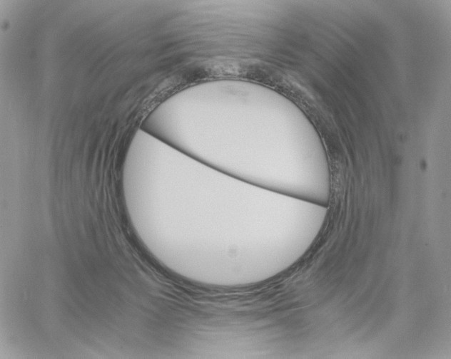 X0000061720125200512302130