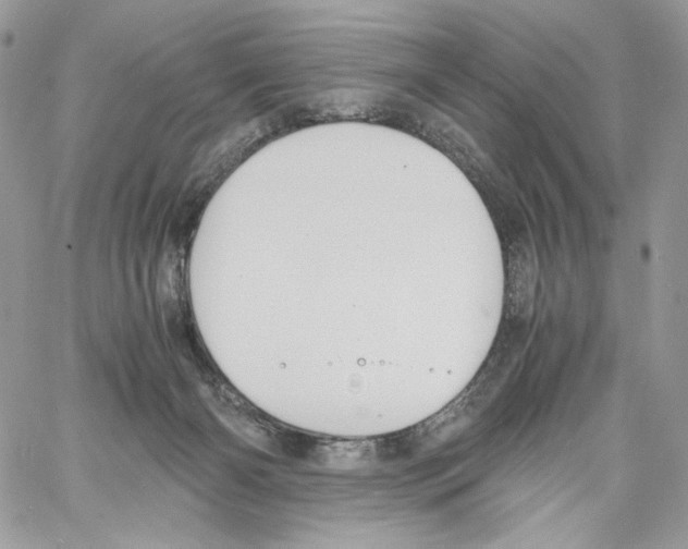 X0000061720126200512302130