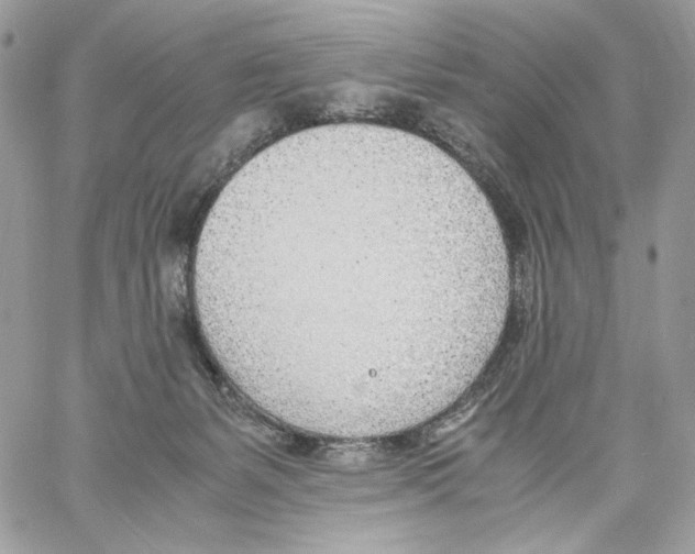 X0000061720127200512302130