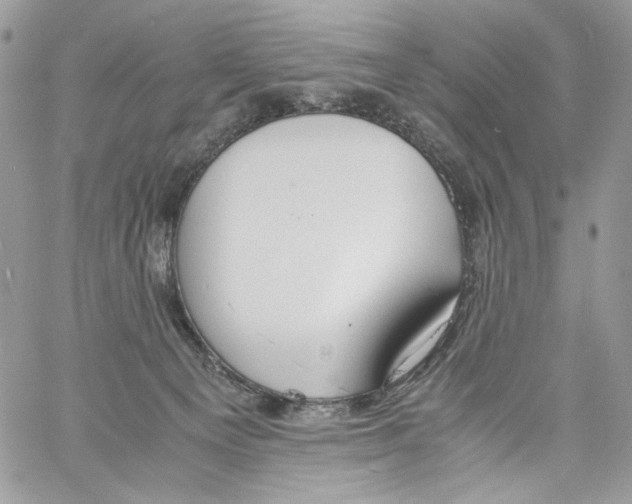 X0000061720129200512302130