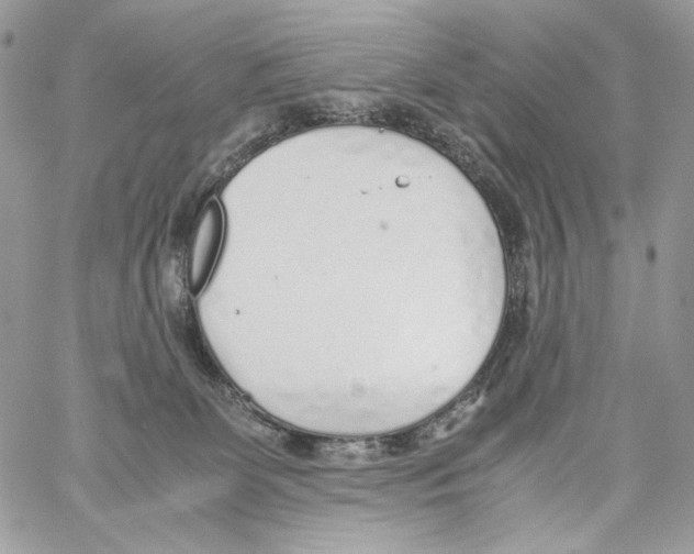 X0000061720131200512302130