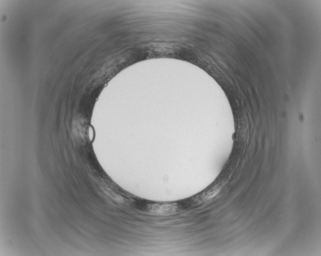 X0000061720135200512302129