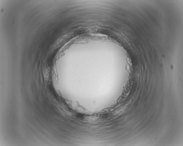 X0000061720139200512302129