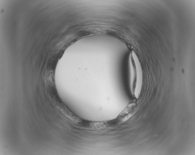 X0000061720141200512302129