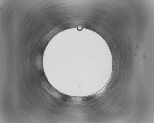 X0000061720144200512302129