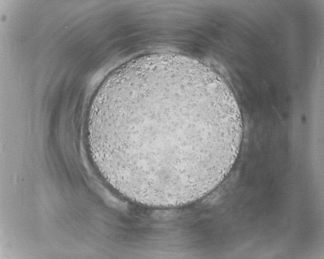 X0000061720145200512302129