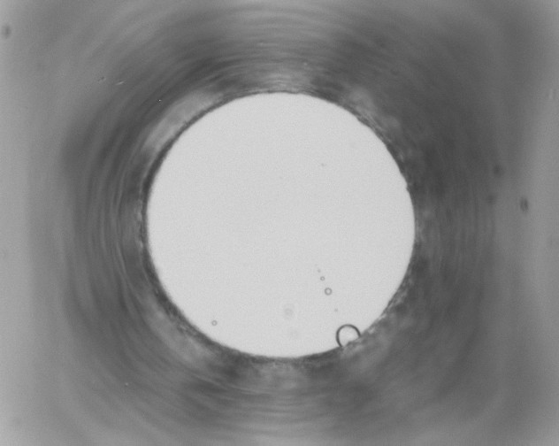 X0000061720146200512302129