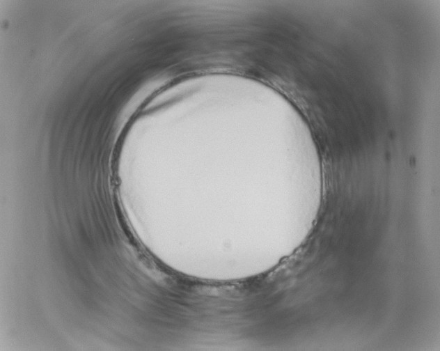 X0000061720147200512302129