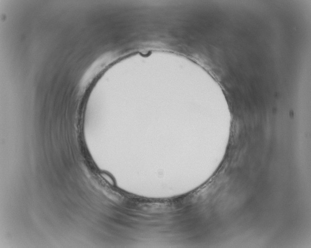 X0000061720151200512302129