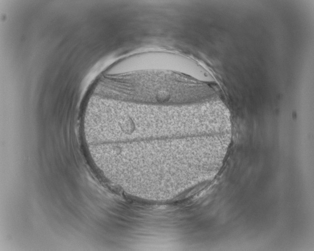 X0000061720152200512302129