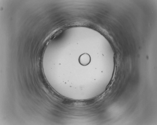 X0000061720154200512302129