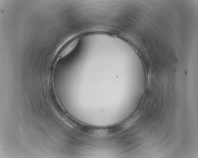 X0000061720156200512302129